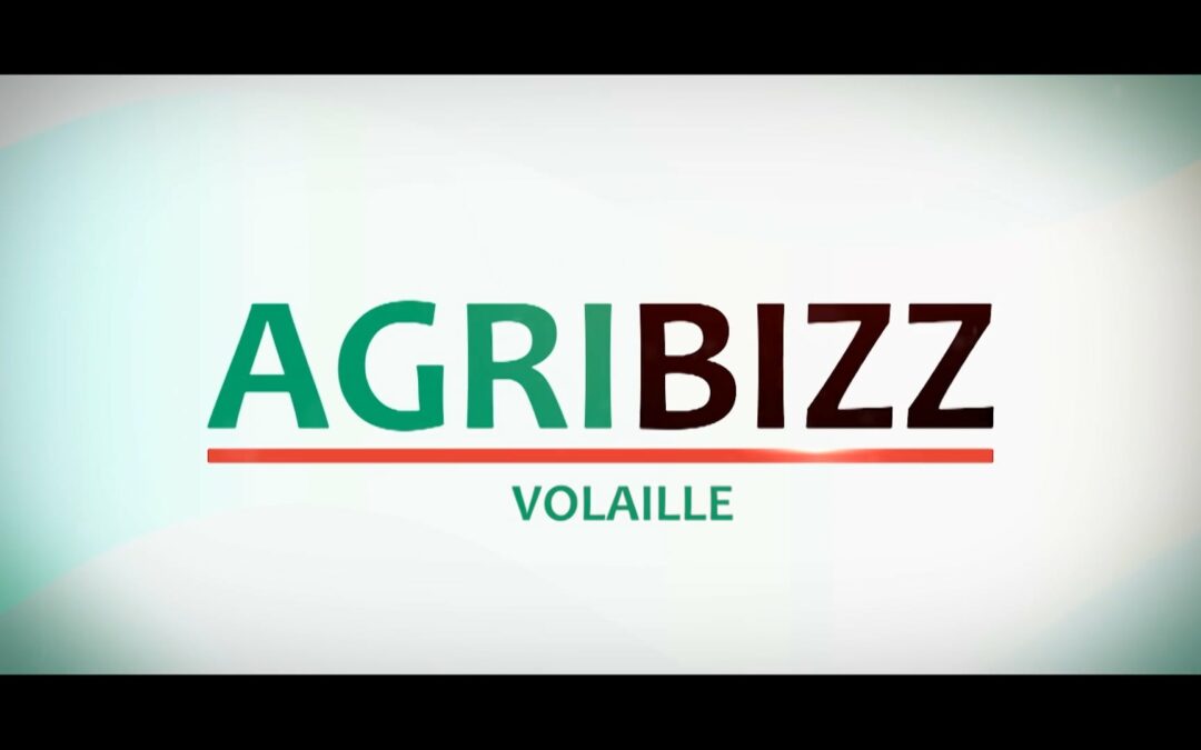 Agribizz: Volaille