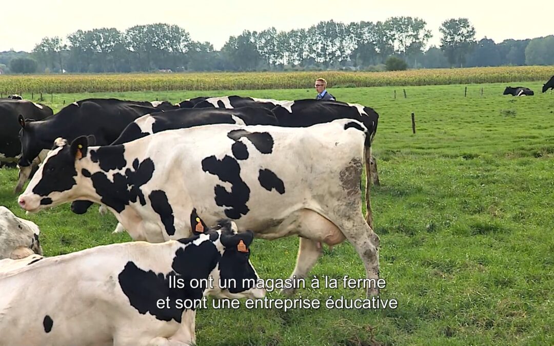 PUBLI Special Vache Laitière Delaval